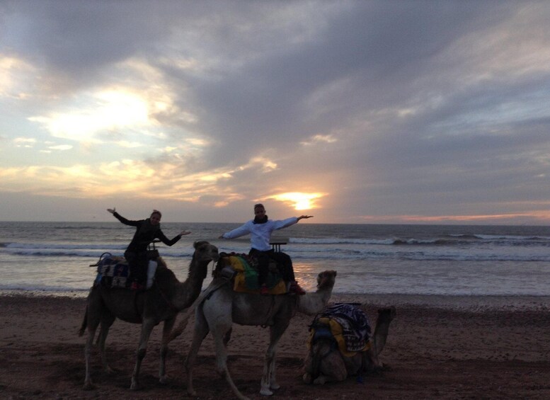 Picture 6 for Activity Essaouira: Guided 2h Dromedary Riding with sunset