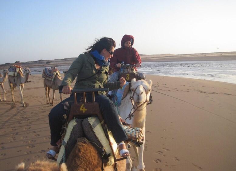 Picture 2 for Activity Essaouira: Guided 2h Dromedary Riding with sunset