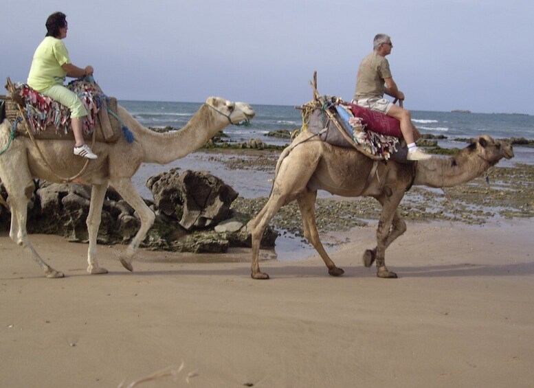 Picture 3 for Activity Essaouira: Guided 2h Dromedary Riding with sunset