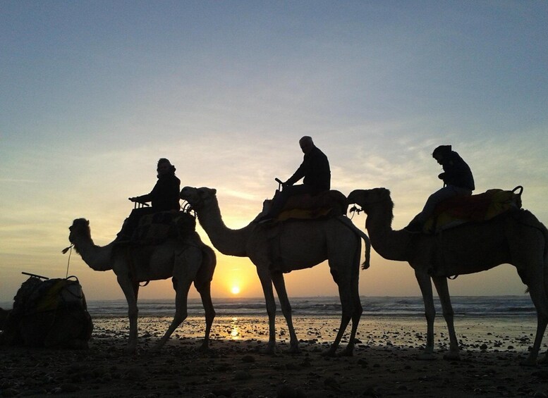 Picture 4 for Activity Essaouira: Guided 2h Dromedary Riding with sunset