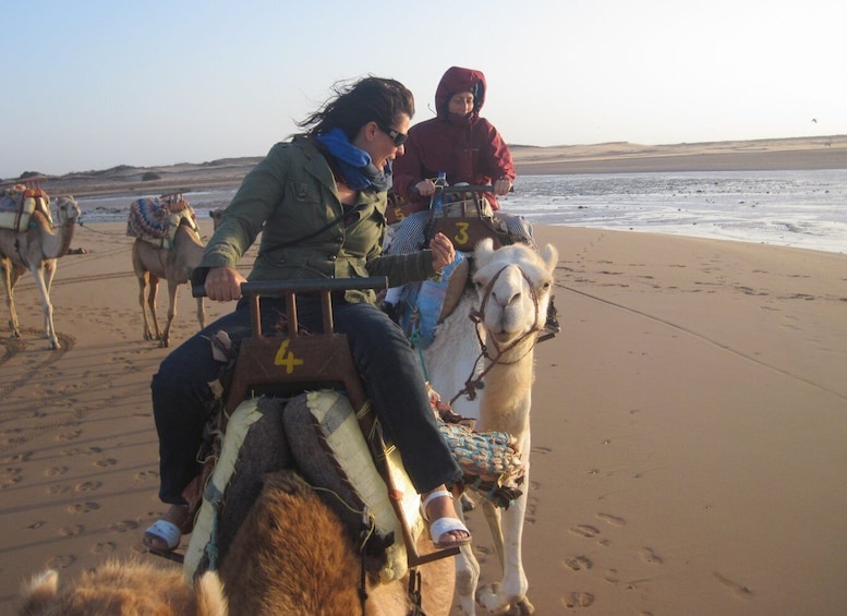 Picture 2 for Activity Essaouira: Guided 2h Dromedary Riding with sunset