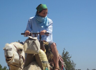 Essaouira: Passeggiata guidata di 2h a dorso di dromedario con tramonto