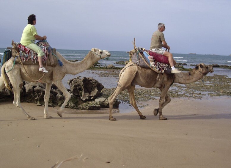 Picture 3 for Activity Essaouira: Guided 2h Dromedary Riding with sunset