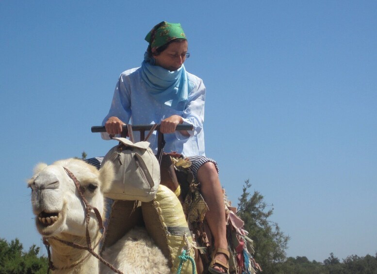 Essaouira: Guided 2h Dromedary Riding with sunset