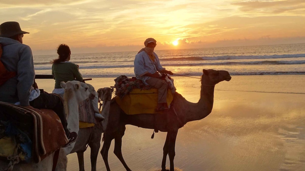 Picture 5 for Activity Essaouira: Guided 2h Dromedary Riding with sunset