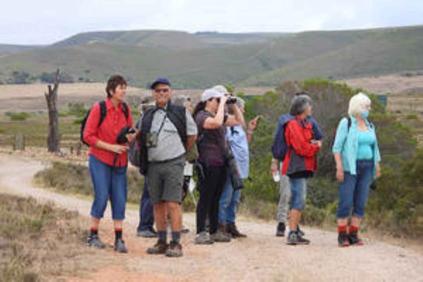 Picture 6 for Activity Klein Karoo Birding