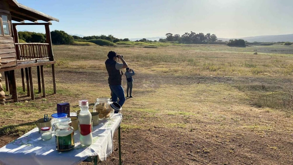 Klein Karoo Birding