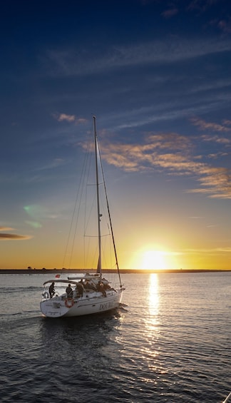 Porto: Daytime or Sunset Sailboat Cruise on the Douro River