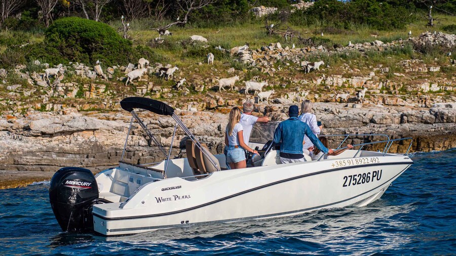 From Fažana: Private boat tour of Brijuni Islands