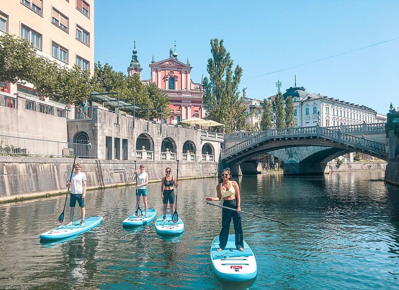 Picture 4 for Activity Ljubljana: Stand-Up Paddle Boarding Tour