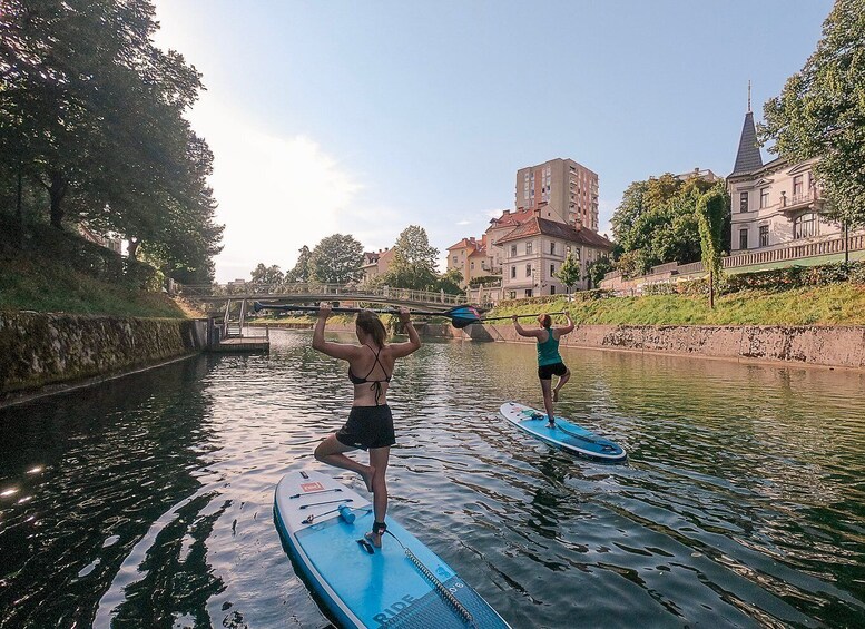 Picture 3 for Activity Ljubljana: Stand-Up Paddle Boarding Tour