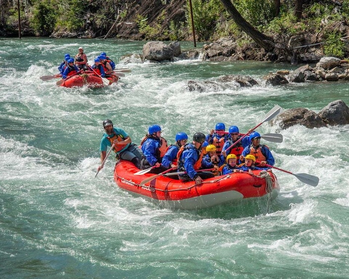 Picture 5 for Activity Banff: Kananaskis River Whitewater Rafting Tour