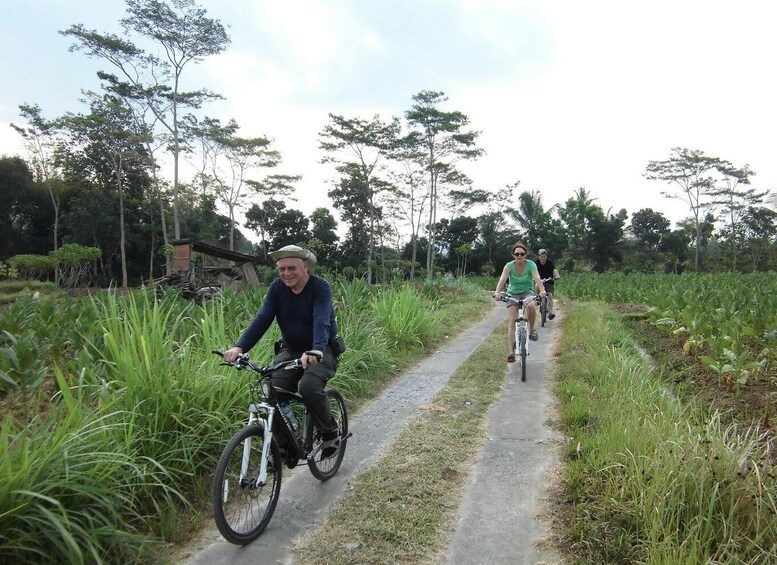 Picture 7 for Activity Borobudur Village Cycling and Temple Tour with Transfer