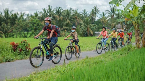 Borobudur Village Cycling and Temple Tour with Transfer