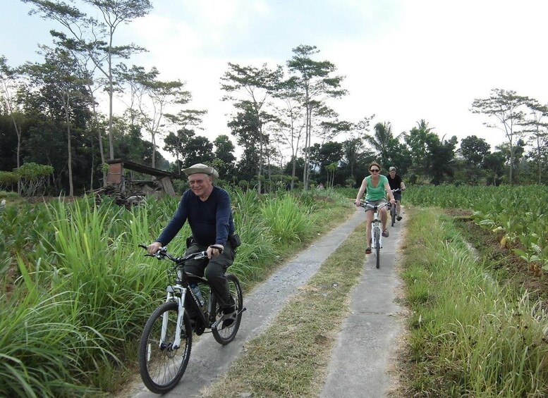 Picture 7 for Activity Borobudur Village Cycling and Temple Tour with Transfer