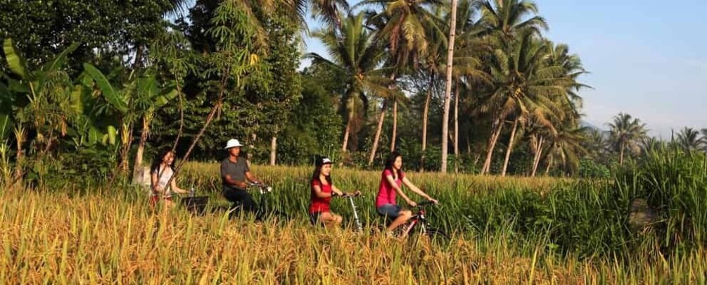 Picture 4 for Activity Borobudur Village Cycling and Temple Tour with Transfer