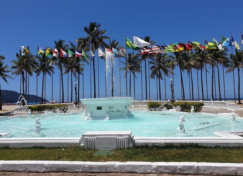 Santos Private Shore Excursion: Full Day City Experience