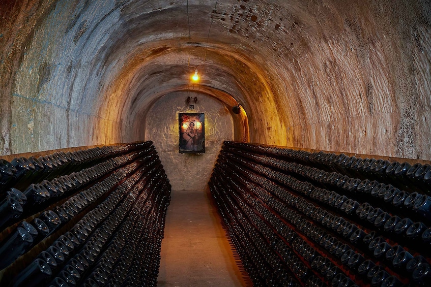 Picture 4 for Activity Champagne: Canard-Duchêne Champagne House Tour