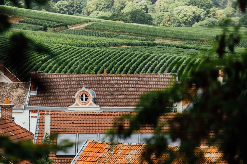 Picture 2 for Activity Champagne: Canard-Duchêne Champagne House Tour