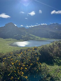 Private Tour from Oviedo to Covadonga and Europe Peaks lakes