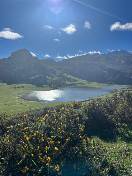 Covadonga and Lakes and Occidental coast Private Tour