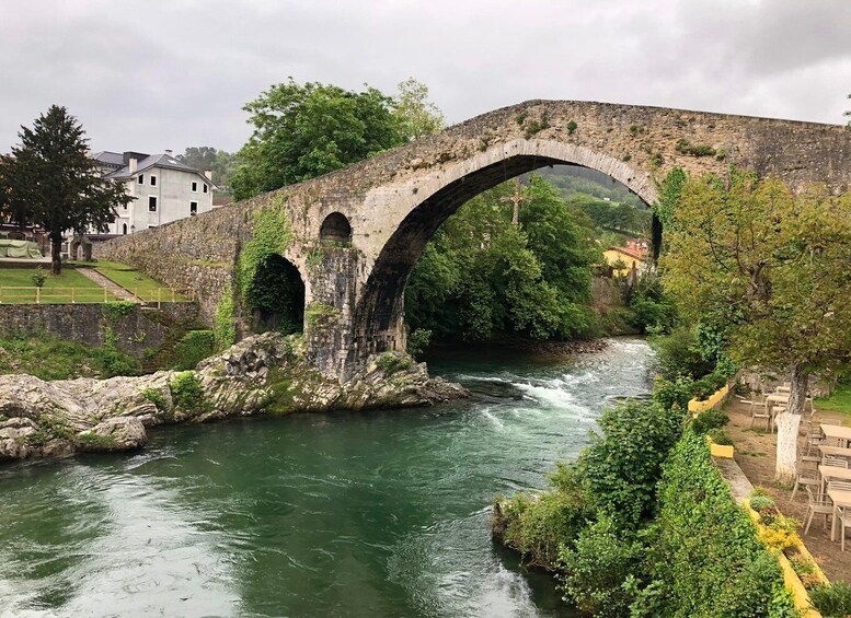 Picture 18 for Activity Private Tour from Oviedo to Covadonga and Europe Peaks lakes