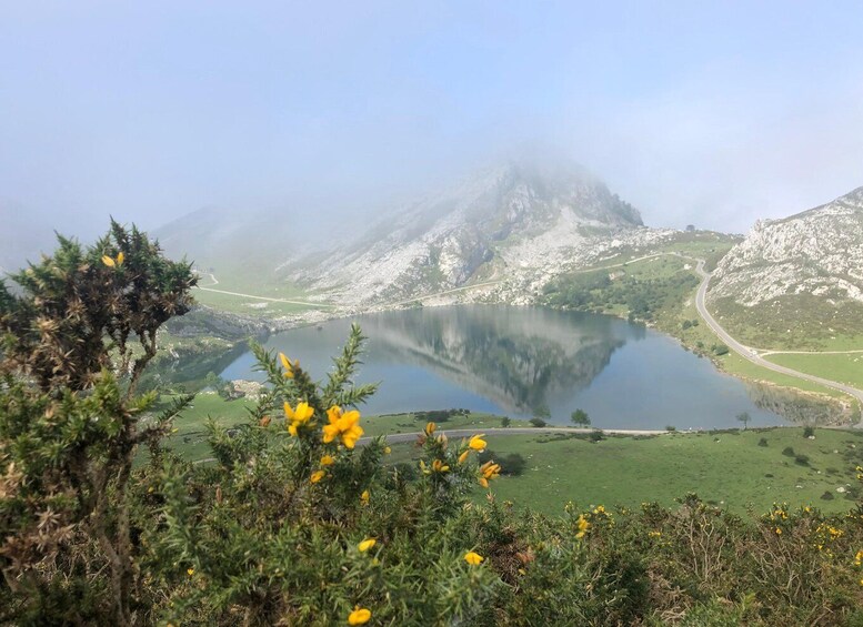 Picture 8 for Activity Covadonga and Lakes and Occidental coast Private Tour