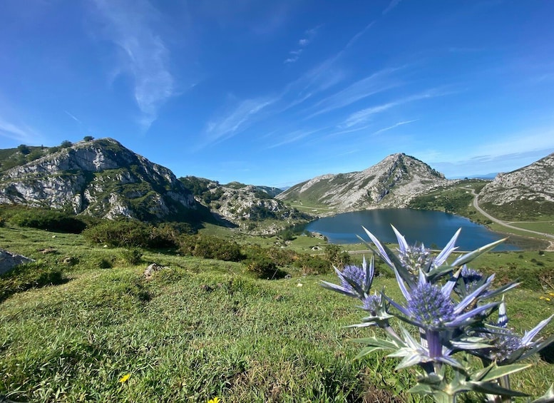 Picture 9 for Activity Private Tour from Oviedo to Covadonga and Europe Peaks lakes