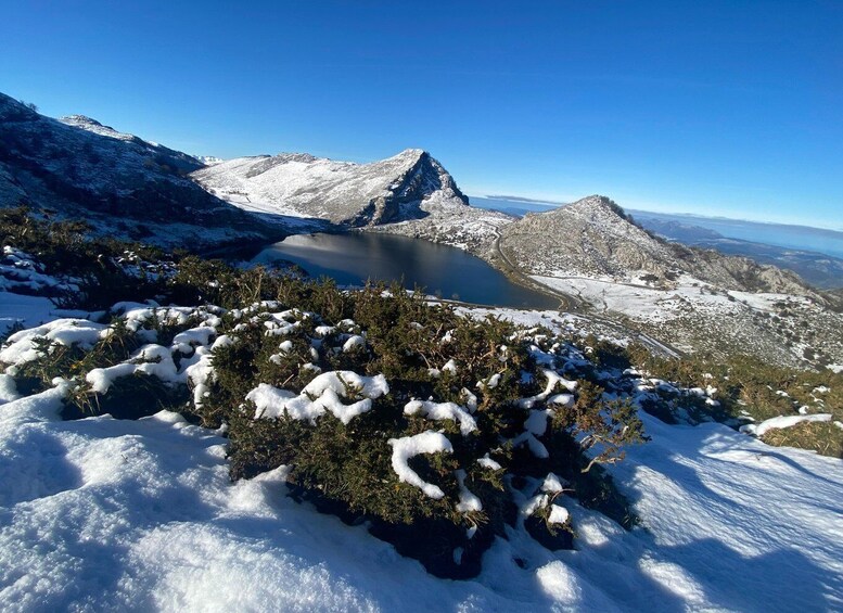 Picture 5 for Activity Covadonga and Lakes and Occidental coast Private Tour