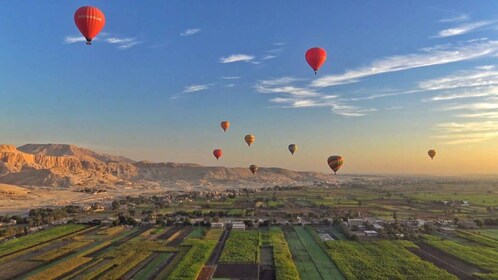 Au départ du Caire : Luxor et Hot Air Balloon Private Trip by Plane