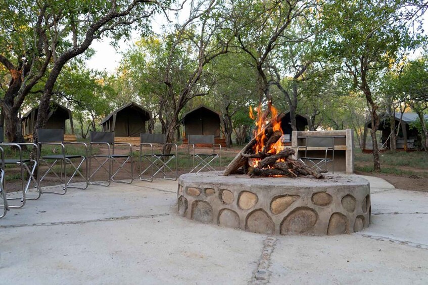 5 Day Kruger Glamping Budget Adventure