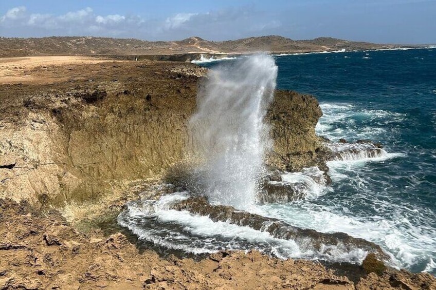 Blowhole