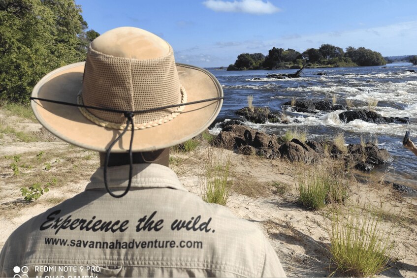 Picture 10 for Activity Victoria Falls: Birdwatching Safari in Zambezi National Park