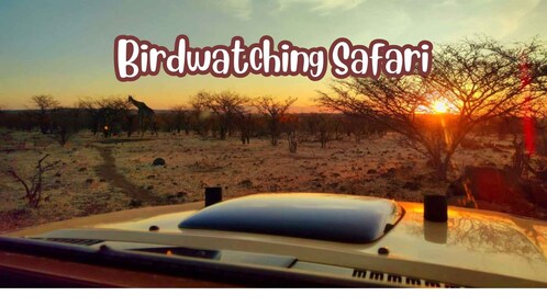 Victoriafälle: Vogelbeobachtungs-Safari im Zambezi National Park