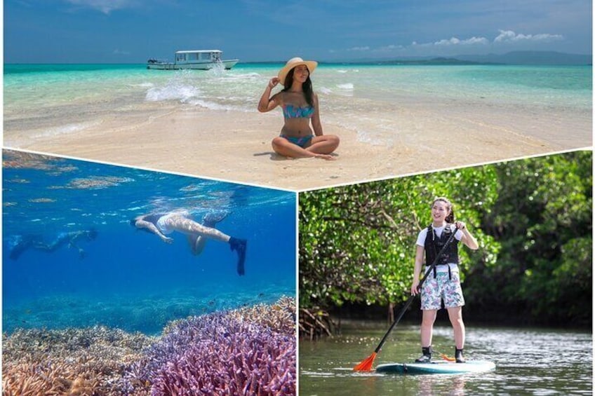 [Ishigaki] Mangrove SUP/Canoe + Phantom Island Snorkeling