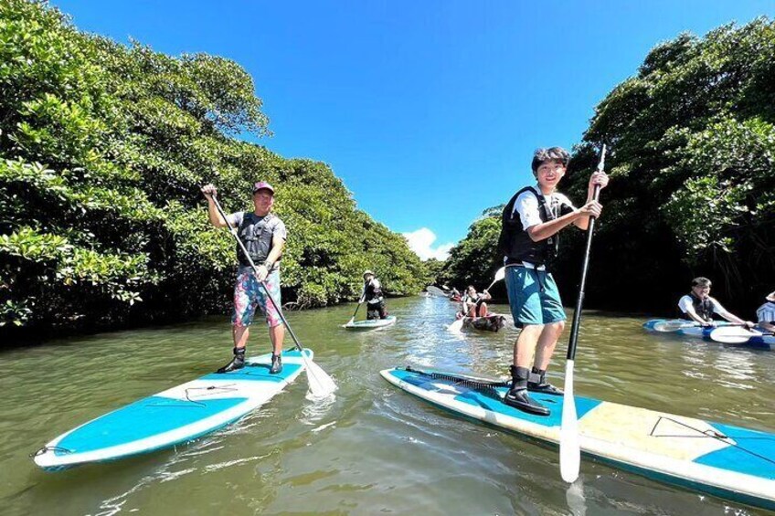 [Ishigaki] Mangrove SUP/Canoe + Phantom Island Snorkeling