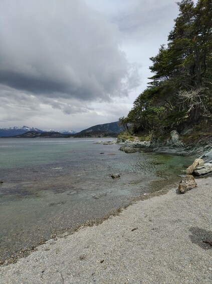 Picture 1 for Activity Tierra del Fuego National Park private tour