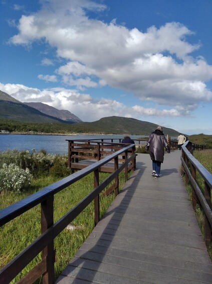 Picture 2 for Activity Tierra del Fuego National Park private tour