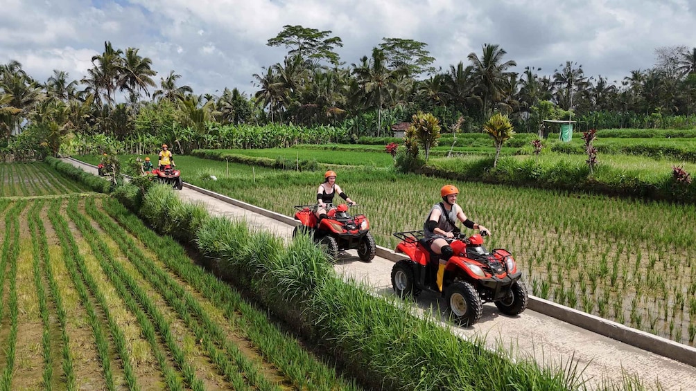 Picture 5 for Activity Bali: Ubud Gorilla Face ATV and Ayung Rafting Trip with Meal
