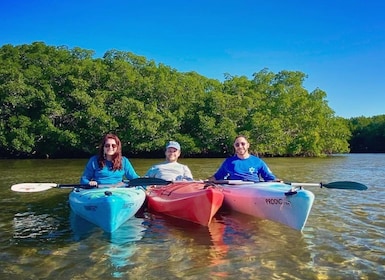 St. Petersburg, FL: Weedon Island Kayak Tour