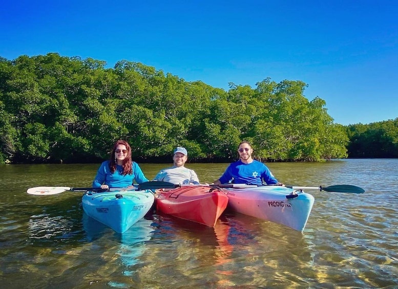 St. Petersburg, FL: Weedon Island Kayak Tour