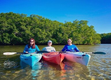 St. Petersburg, FL: Weedon Island Kayak Tour