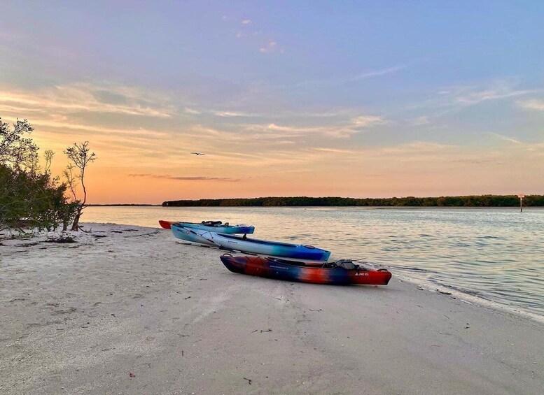 Picture 2 for Activity St. Petersburg, FL: Weedon Island Kayak Tour