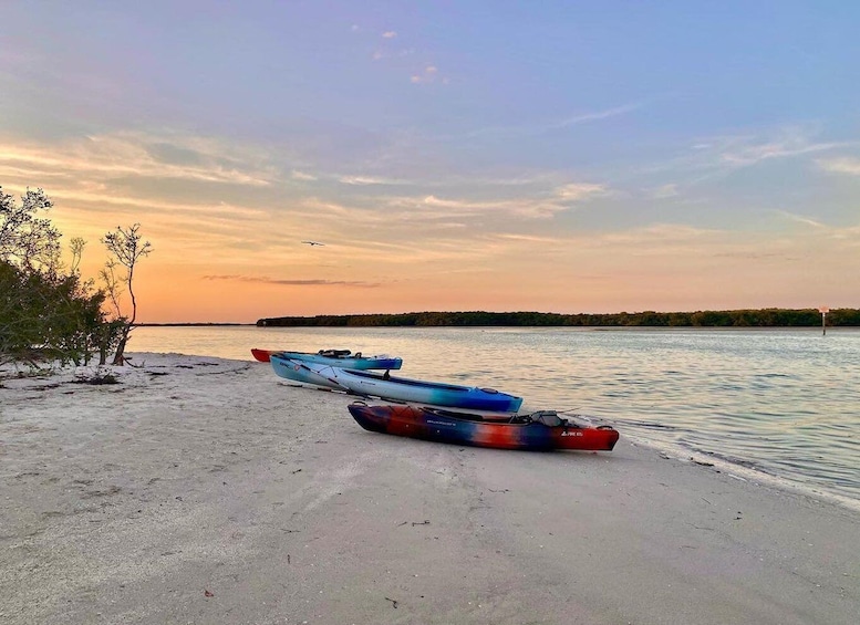 Picture 2 for Activity St. Petersburg, FL: Weedon Island Kayak Tour