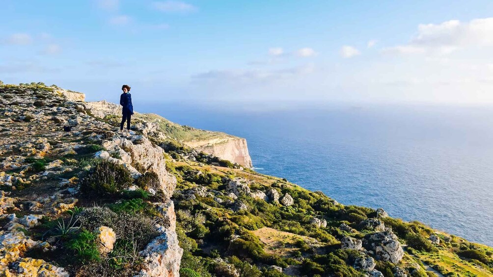 Picture 17 for Activity Buskett Woodlands and Dingli Cliffs Private Nature Tour