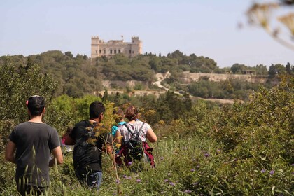 Tour naturalistico privato dei boschi di Buskett e delle scogliere di Dingl...