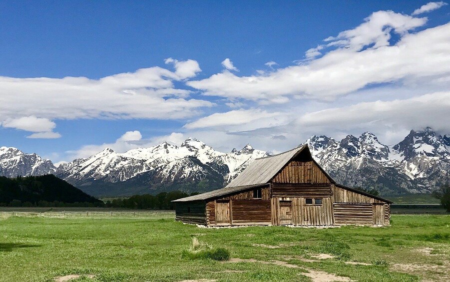 Picture 15 for Activity Bozeman: Yellowstone & Grand Teton National Park with Hotel