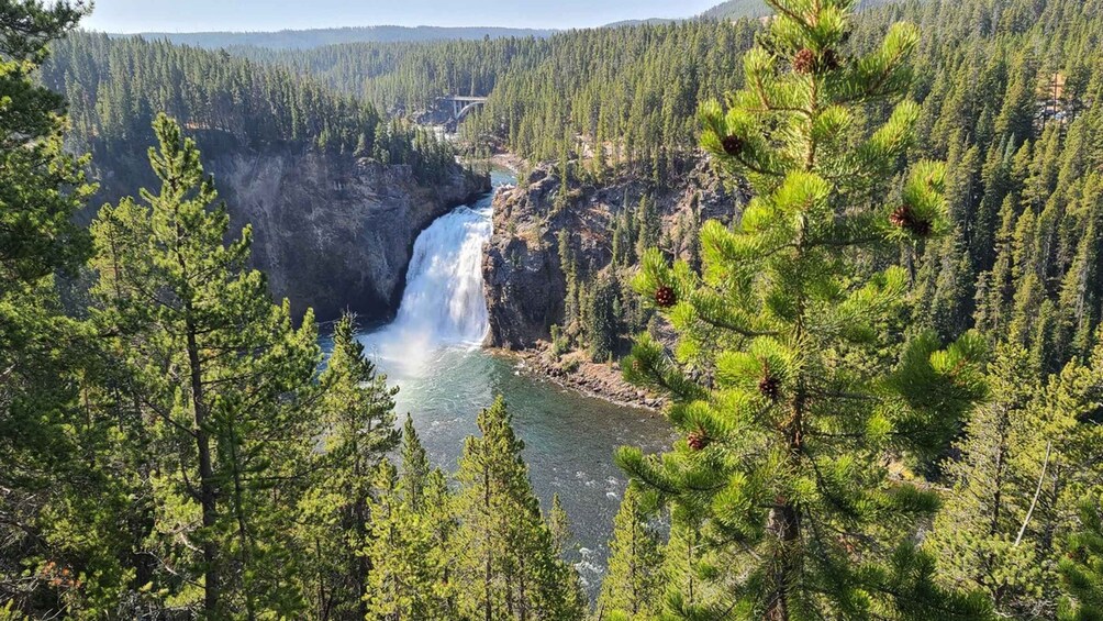 Picture 11 for Activity Bozeman: Yellowstone & Grand Teton National Park with Hotel