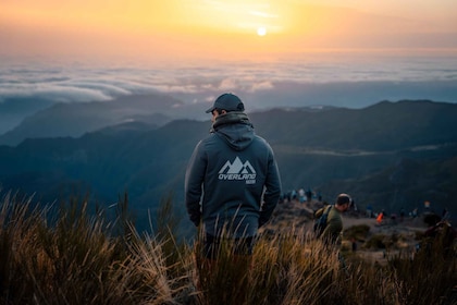 Exclusive Sunrise Hike Pico Areeiro and Balcões levada