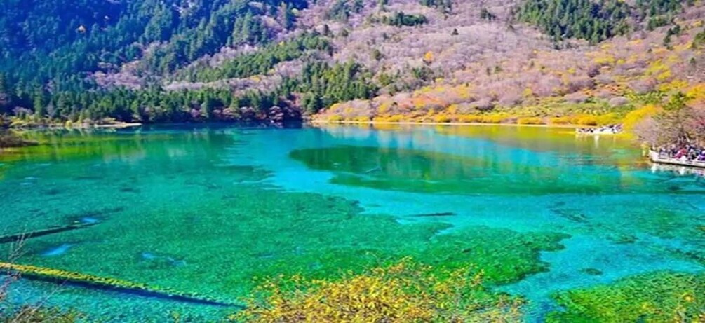 Picture 5 for Activity Jiuzhaigou&Huanglong 3 days private tour